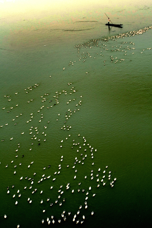 点此在新窗口浏览图片