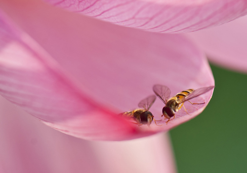 点此在新窗口浏览图片