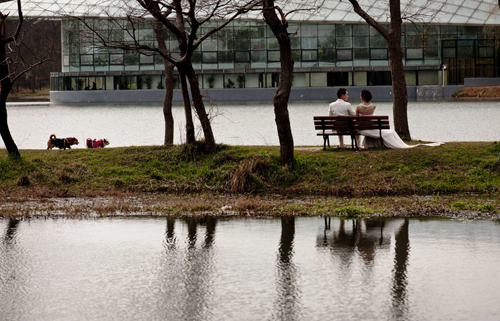 点此在新窗口浏览图片