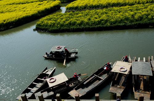 点此在新窗口浏览图片