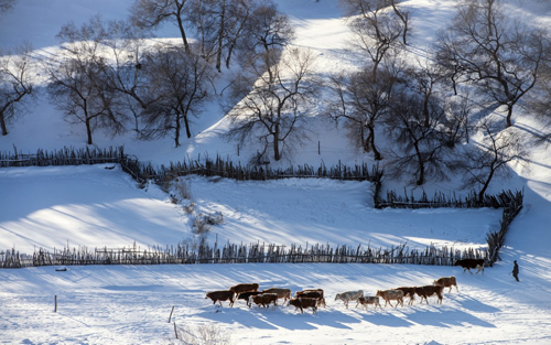 点此在新窗口浏览图片