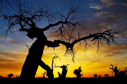 点此在新窗口浏览图片