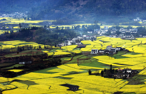 点此在新窗口浏览图片