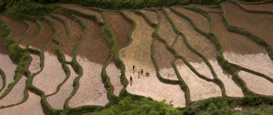 点此在新窗口浏览图片