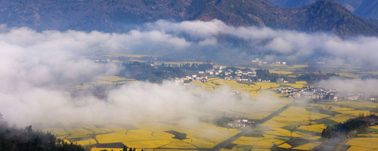 点此在新窗口浏览图片