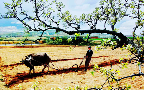 点此在新窗口浏览图片