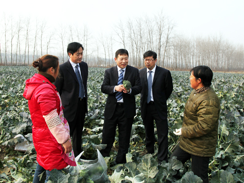 点此在新窗口浏览图片
