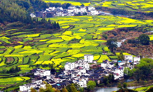 点此在新窗口浏览图片