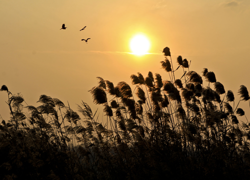 点此在新窗口浏览图片