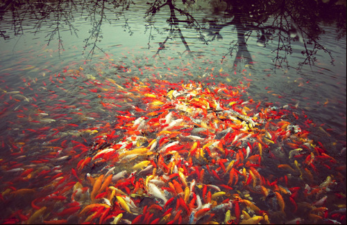 点此在新窗口浏览图片