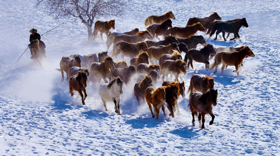 点此在新窗口浏览图片