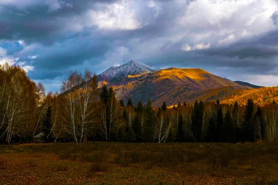 点此在新窗口浏览图片