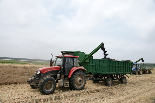 点此在新窗口浏览图片