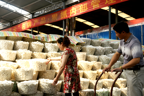 点此在新窗口浏览图片