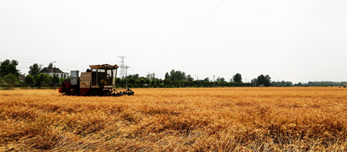 点此在新窗口浏览图片