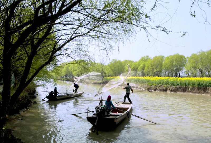 点此在新窗口浏览图片