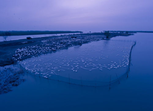 点此在新窗口浏览图片