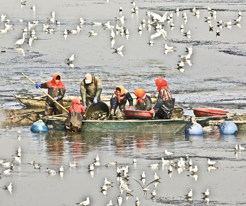 点此在新窗口浏览图片