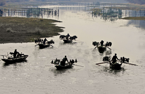 点此在新窗口浏览图片