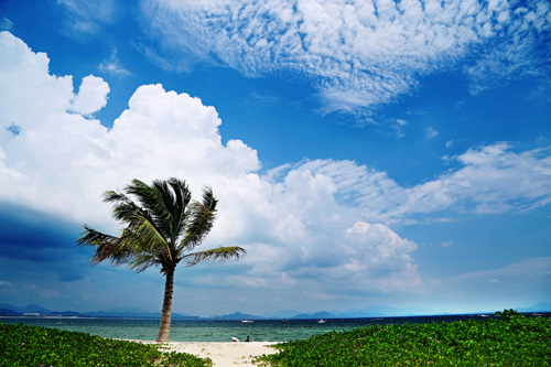 点此在新窗口浏览图片