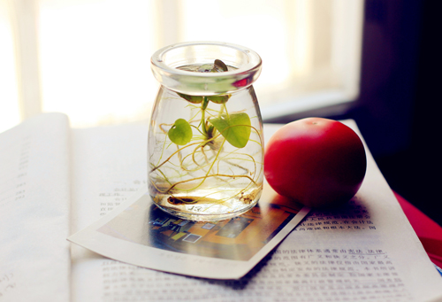 点此在新窗口浏览图片