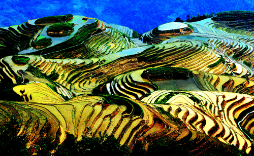 点此在新窗口浏览图片