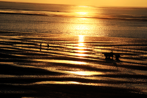点此在新窗口浏览图片
