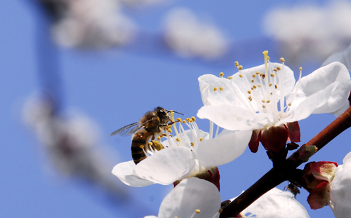 点此在新窗口浏览图片