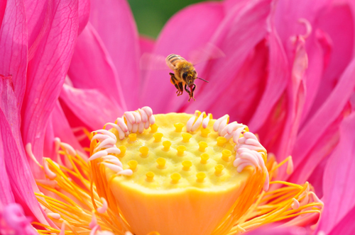 点此在新窗口浏览图片