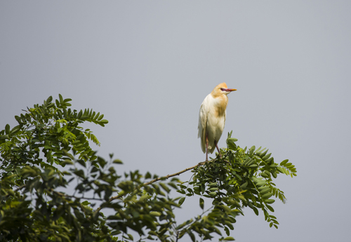 点此在新窗口浏览图片