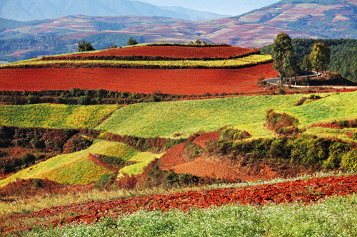 点此在新窗口浏览图片