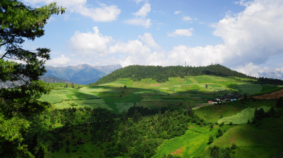 点此在新窗口浏览图片