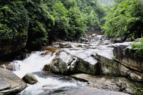 点此在新窗口浏览图片