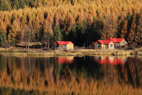 点此在新窗口浏览图片