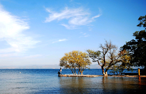 点此在新窗口浏览图片