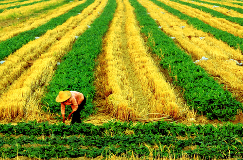 点此在新窗口浏览图片