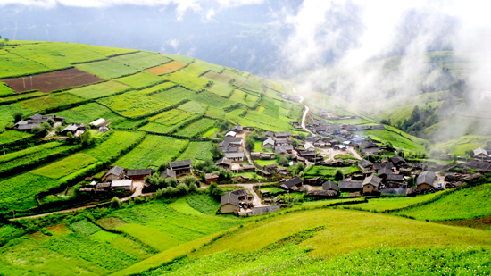 点此在新窗口浏览图片