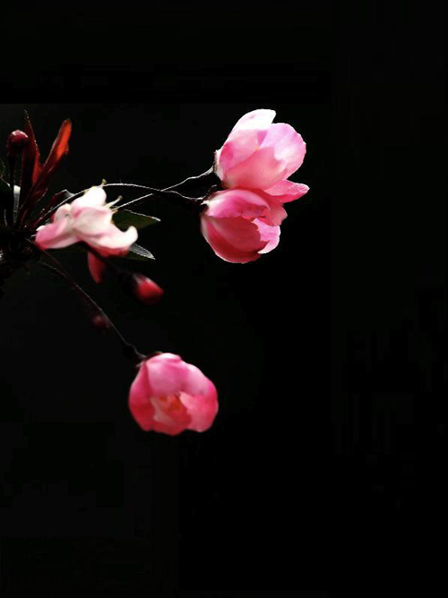 点此在新窗口浏览图片