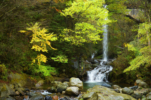 点此在新窗口浏览图片
