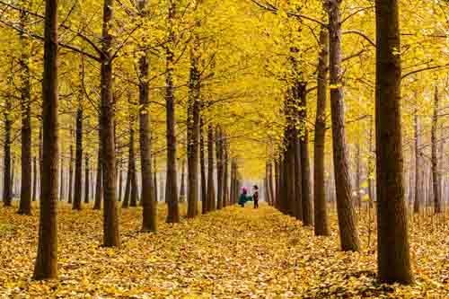 点此在新窗口浏览图片