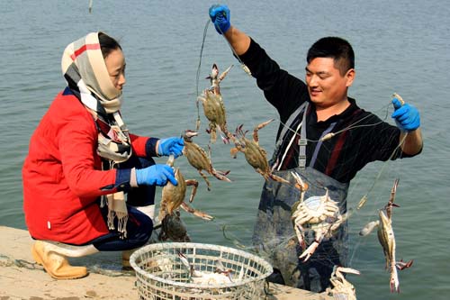 点此在新窗口浏览图片