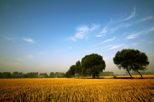 点此在新窗口浏览图片