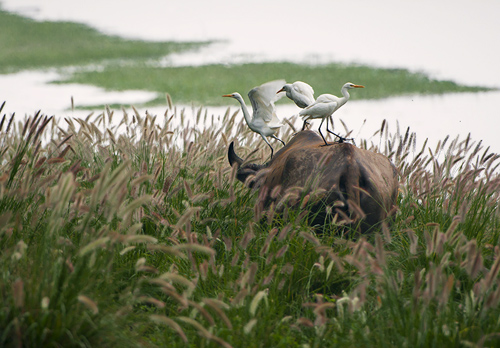 点此在新窗口浏览图片