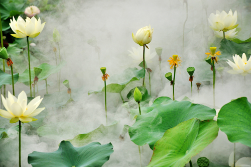 点此在新窗口浏览图片