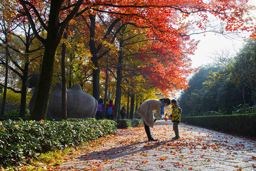 点此在新窗口浏览图片