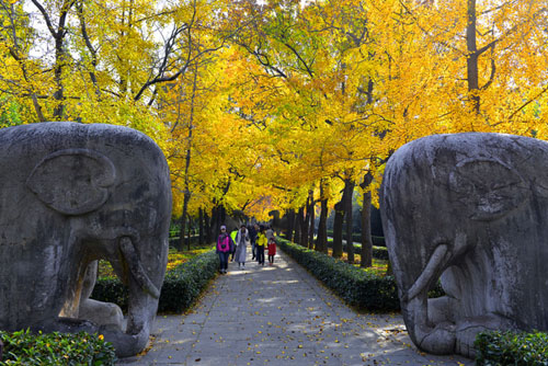 点此在新窗口浏览图片