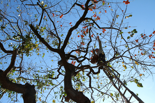 点此在新窗口浏览图片