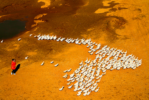 点此在新窗口浏览图片