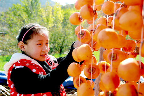 点此在新窗口浏览图片