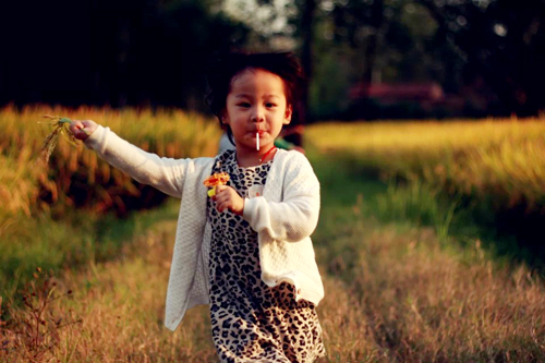 点此在新窗口浏览图片